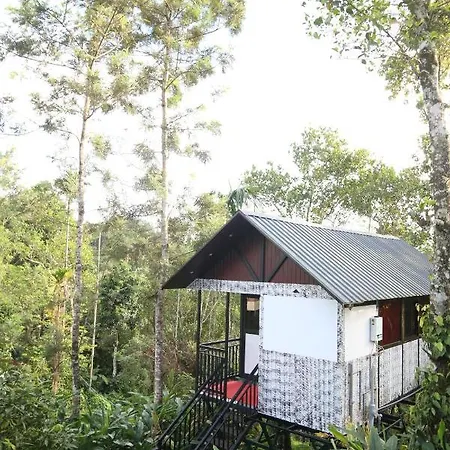 Spice Valley Home Stay & Tree House Munnar Exterior photo
