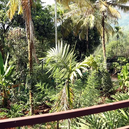 Spice Valley Home Stay & Tree House Munnar Exterior photo