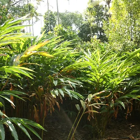 Spice Valley Home Stay & Tree House Munnar Exterior photo