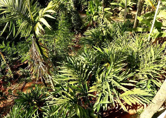 Spice Valley Home Stay & Tree House Munnar
