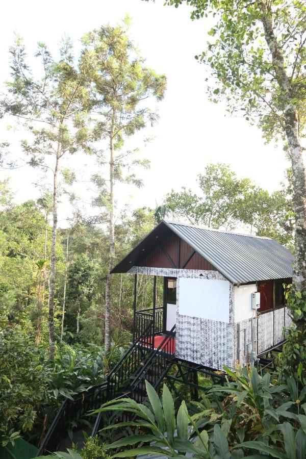 Spice Valley & Tree House Homestay Munnar