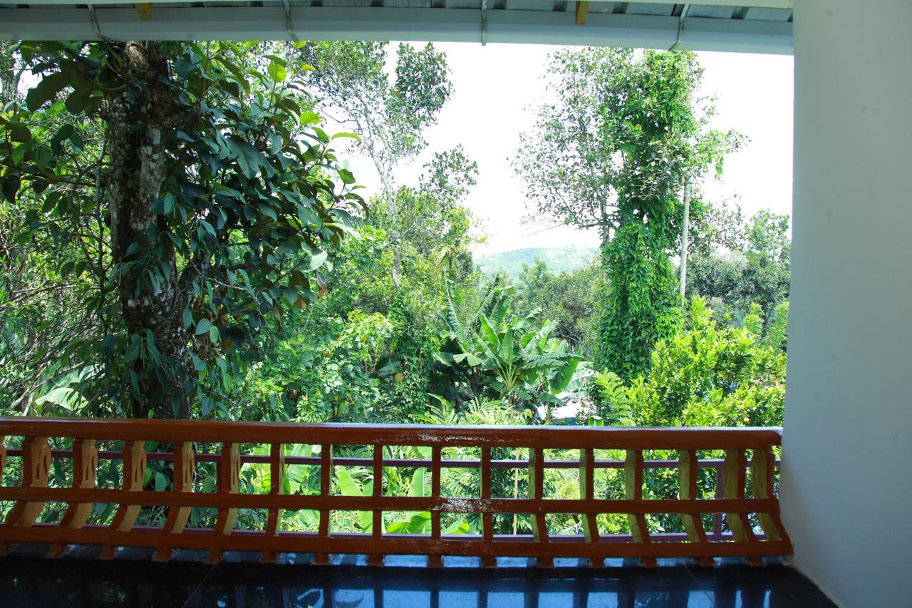 Homestay Spice Valley & Tree House *