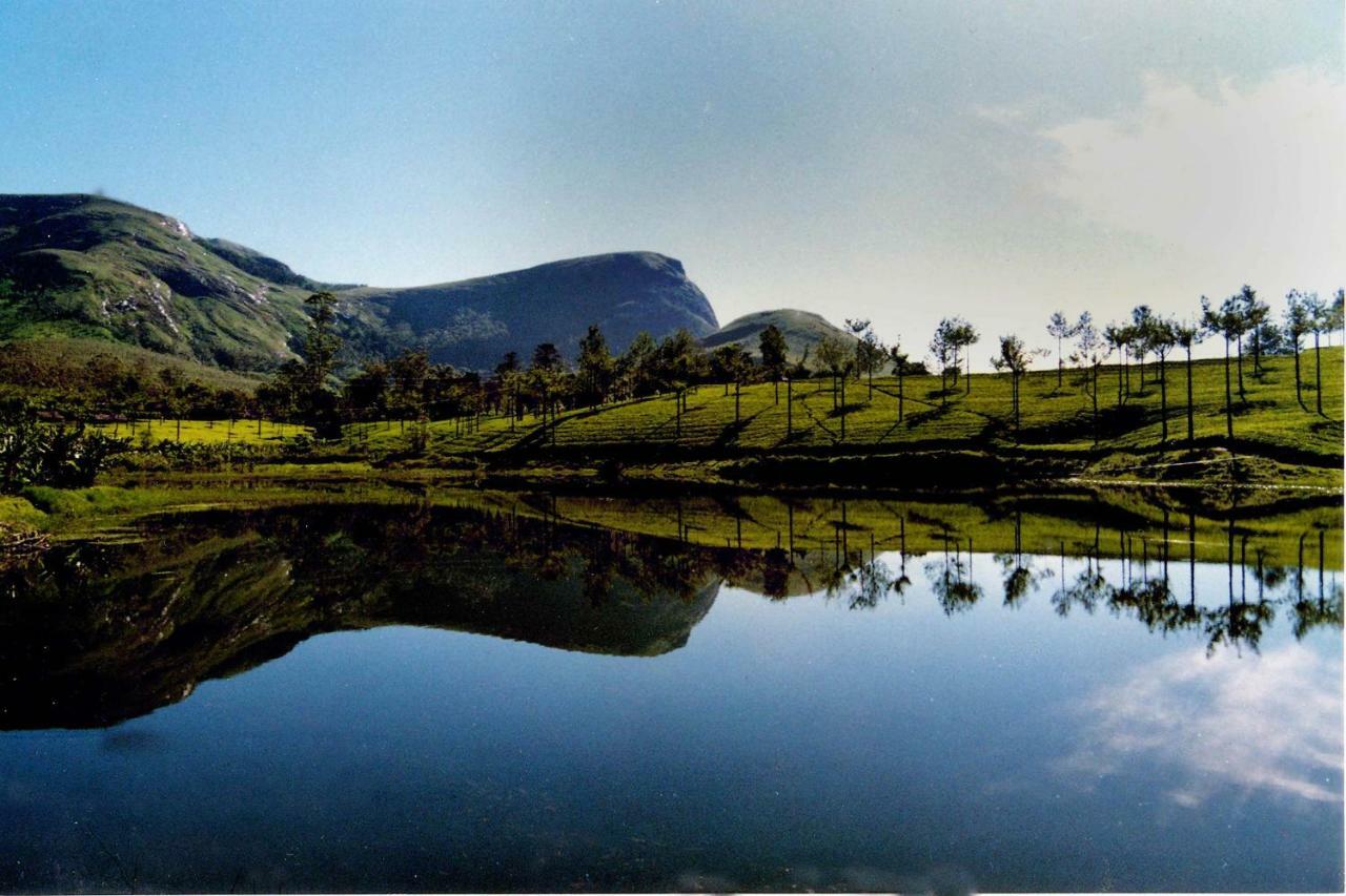 Spice Valley & Tree House Homestay *