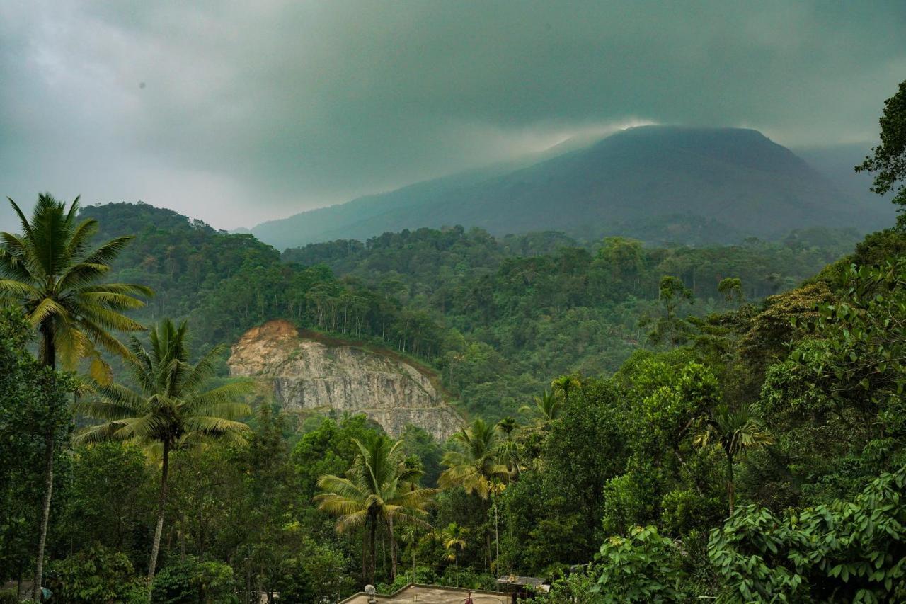 Spice Valley & Tree House Homestay Munnar