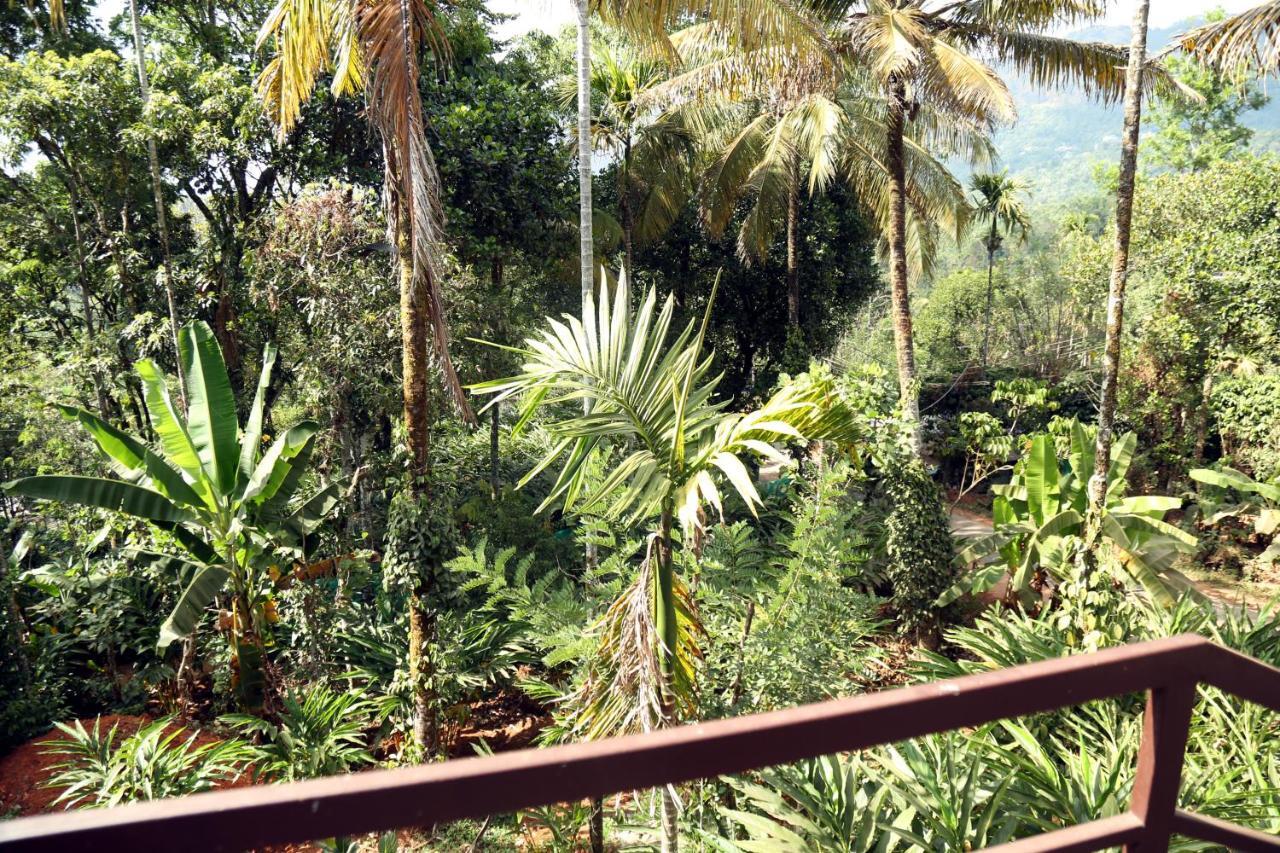 Spice Valley & Tree House Homestay Munnar