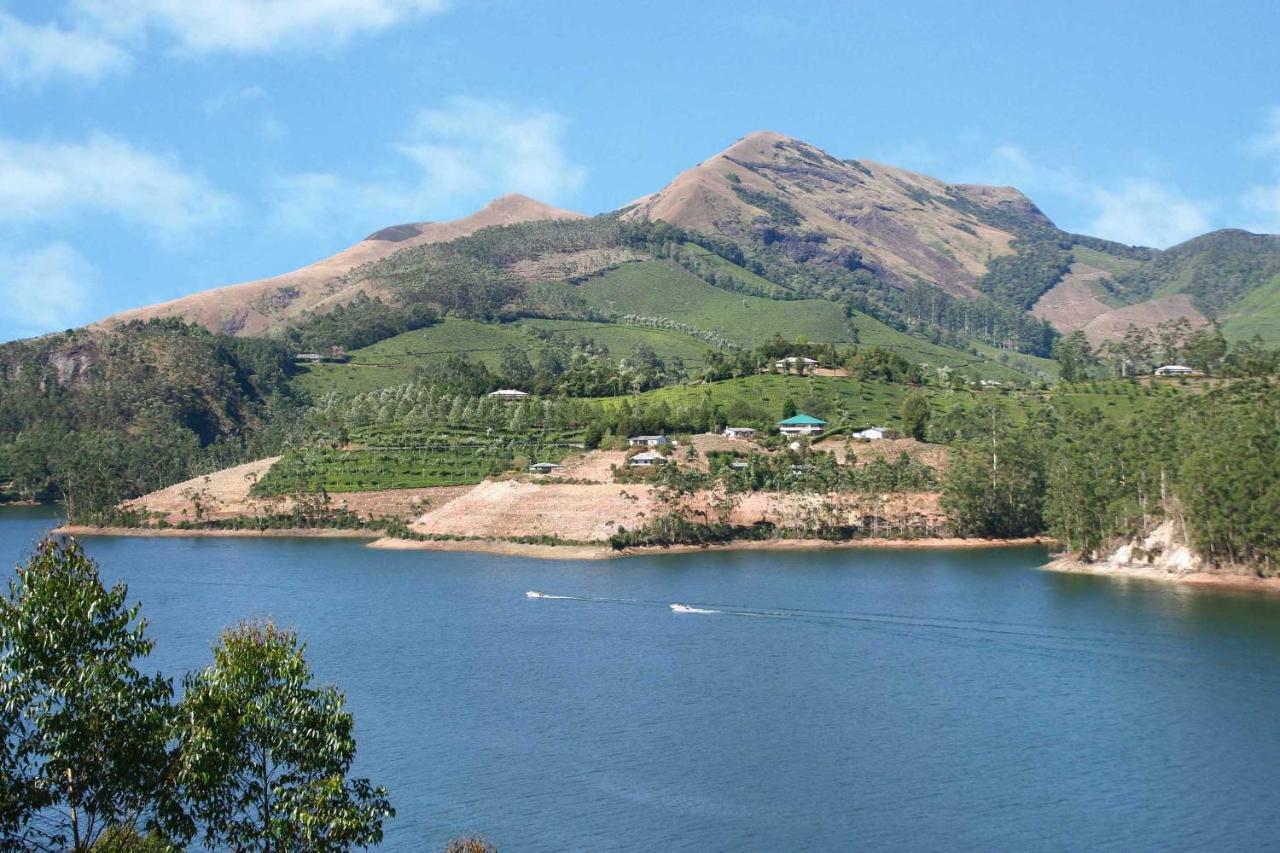 Spice Valley & Tree House Homestay